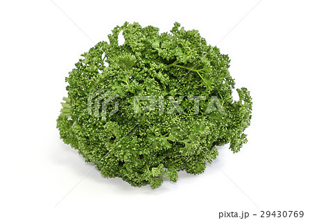 パセリ 29430769