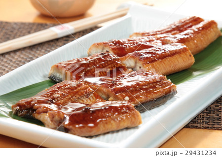 grilled eel grilled eel 29431234