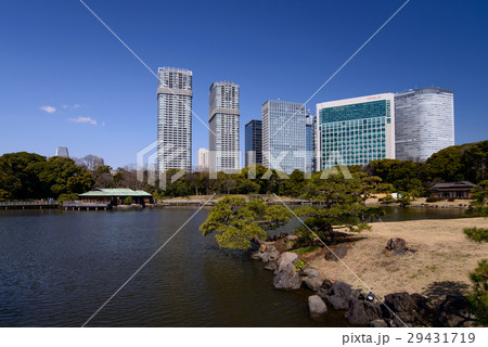 浜離宮恩賜庭園から見た高層ビル群 浜離宮恩賜庭園から見た高層ビル群 29431719