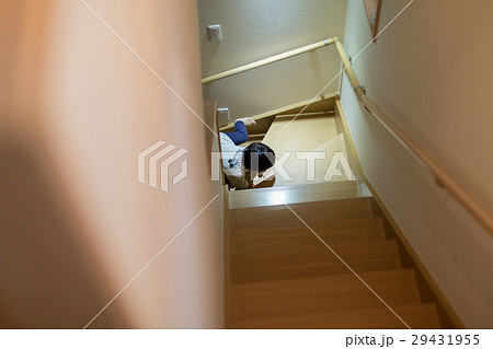 3 years old 29431955