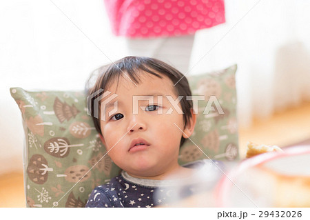 3 years old 3 years old 29432026