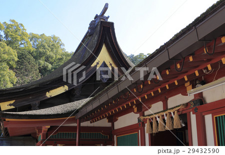 太宰府天満宮　御本殿の西側 29432590