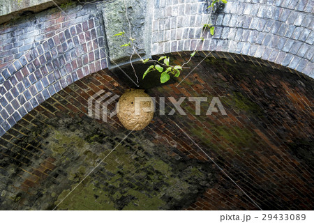 愛岐トンネル群・廃線跡 愛岐トンネル群・廃線跡 29433089