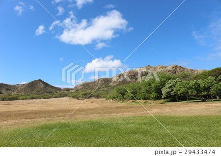 ダイヤモンドヘッド ダイヤモンドヘッド 29433474