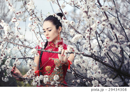 Geisha in red kimono in sakura 29434308
