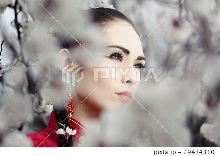 Geisha in red kimono in sakura Geisha in red kimono in sakura 29434310