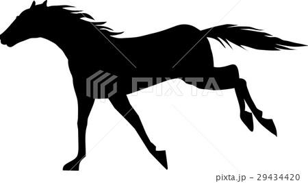 サラブレッド008 29434420