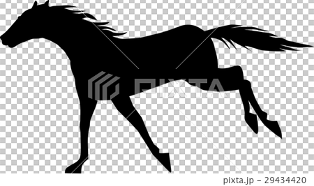 サラブレッド008 29434420