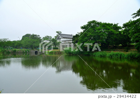 梅雨の舞鶴公園のお堀 29434422