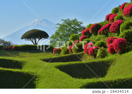 日本100名城・山中城（静岡） 29434514