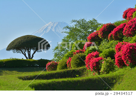 日本100名城・山中城(静岡) 日本100名城・山中城(静岡) 29434517