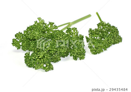 パセリ パセリ 29435484