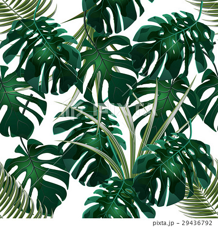Jungle Green Thickets Of Tropical Palm Leaves Andのイラスト素材