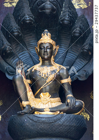 Black Shiva statue Black Shiva statue 29437737