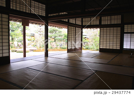 和室から眺めた日本庭園 29437774