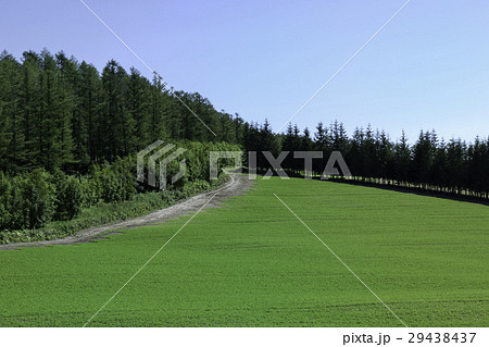 丘の風景 北落合 丘の風景 北落合 29438437