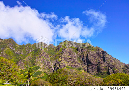 クアロアランチの風景 クアロアランチの風景 29438465