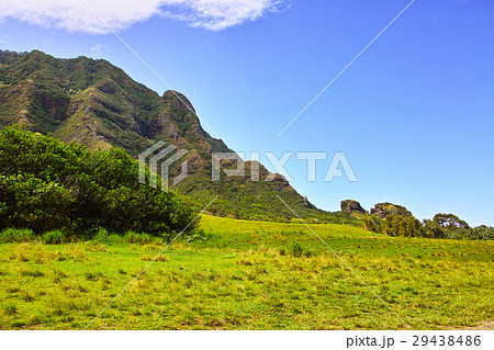 クアロアランチの風景 29438486