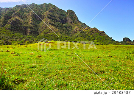 クアロアランチの風景 29438487