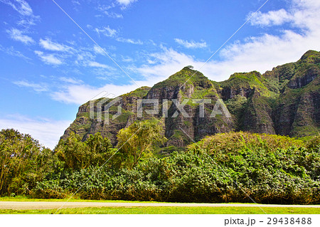 クアロアランチの風景 29438488