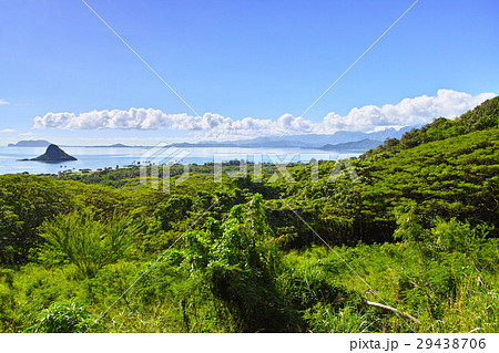 クアロアランチからの風景 クアロアランチからの風景 29438706