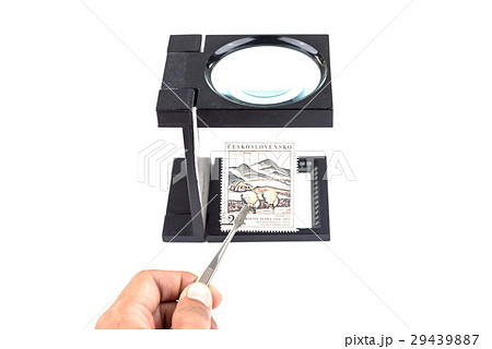 Hand holding an old Polish post stamp 29439887