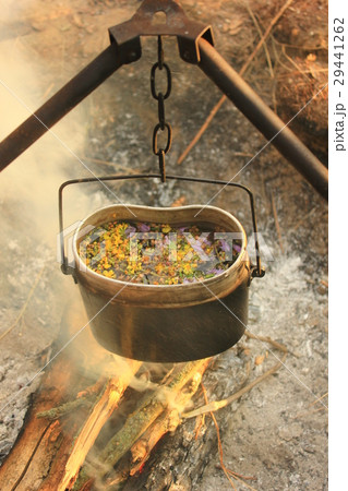 Cooking eat in bowler on the fire. Summer time  29441262