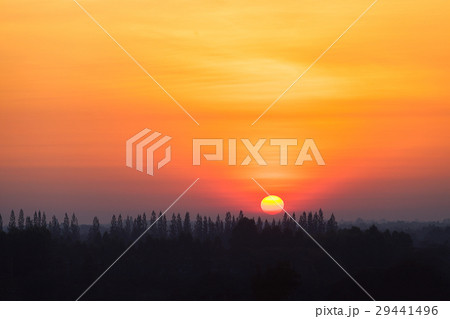 Sunrise at countryside with silhouette pine tree. Sunrise at countryside with silhouette pine tree. 29441496