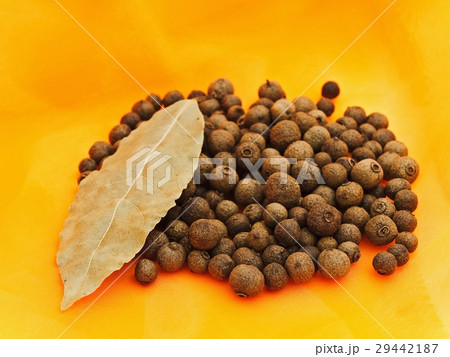 Allspice 29442187