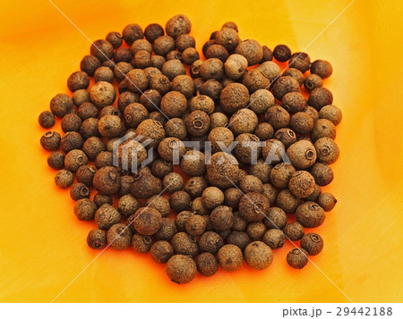 Allspice 29442188