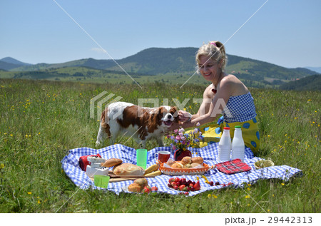 Lady Playing with Her Dog on Picnic Lady Playing with Her Dog on Picnic 29442313