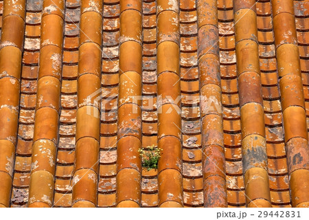 Classical Chinese tile on the roof Classical Chinese tile on the roof 29442831