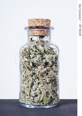 Dried lemon balm herb inside a glass jar. 29444146