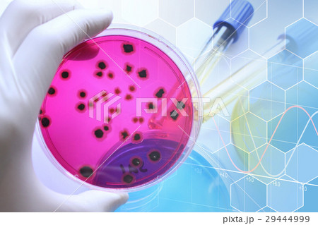 研究イメージ 微生物学 研究イメージ 微生物学 29444999