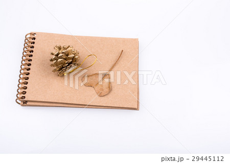Heart shaped leaf,  pine cone and a notebook on 29445112