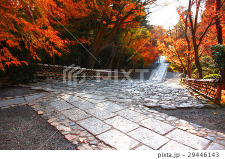 秋の龍安寺(右京区) 秋の龍安寺(右京区) 29446143