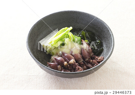 ホタルイカとうるいの酢味噌和え1 29446373