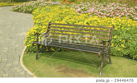 chair in the flowers garden on summer 29446470