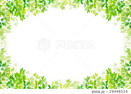 新緑 葉 緑 背景 新緑 葉 緑 背景 29446524