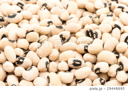 黒目豆：Black Eyed Peas 29446695