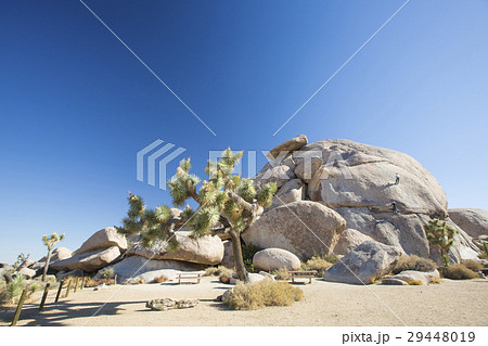 ロッククライミング ロッククライミング 29448019