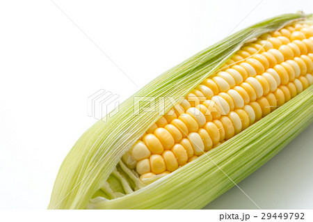 とうもろこし とうもろこし 29449792