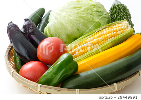 夏野菜 夏野菜 29449891