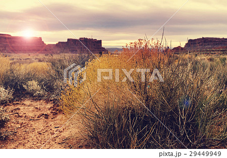 Valley of the Gods 29449949