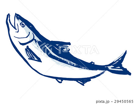 鮭 シャケ さけ 水墨画 水彩画 手描きのイラスト素材 29450565 Pixta