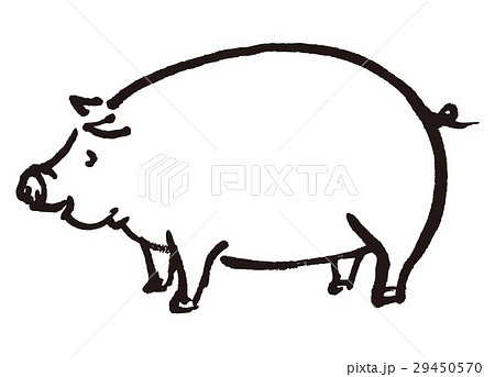 豚 水彩画 手描きのイラスト素材