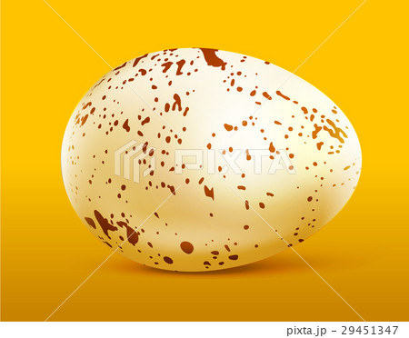 Quail egg with spots on yellow Quail egg with spots on yellow 29451347