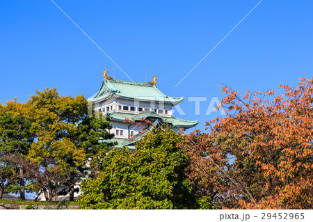 晩秋 朝の名古屋城 晩秋 朝の名古屋城 29452965