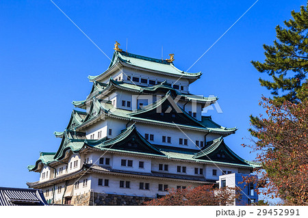 晩秋　朝の名古屋城 29452991