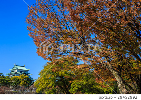晩秋 朝の名古屋城 晩秋 朝の名古屋城 29452992